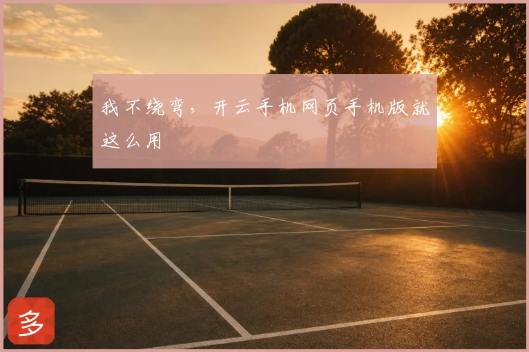 我不绕弯，开云手机网页手机版就这么用